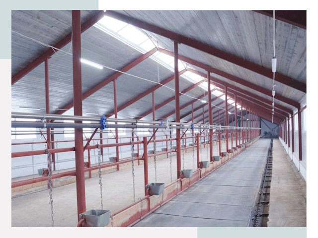 Строительство коровников в Клине от 615 руб.