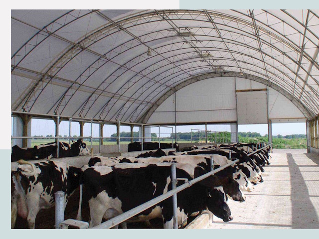 Тентовые коровники в Клине